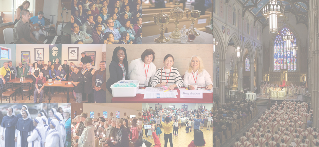 Collage of images from across the Archdiocese of Toronto