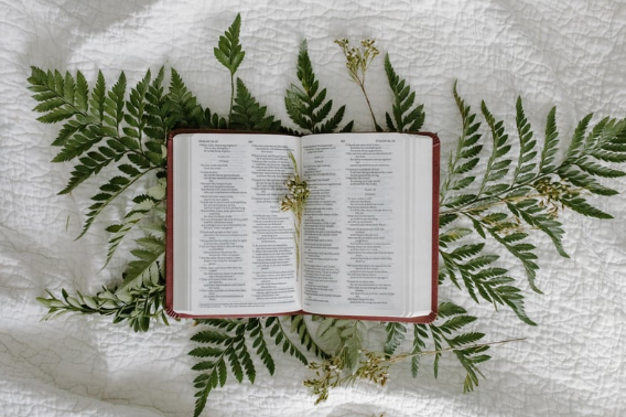 open bible to the book of psalms with palm branches under it