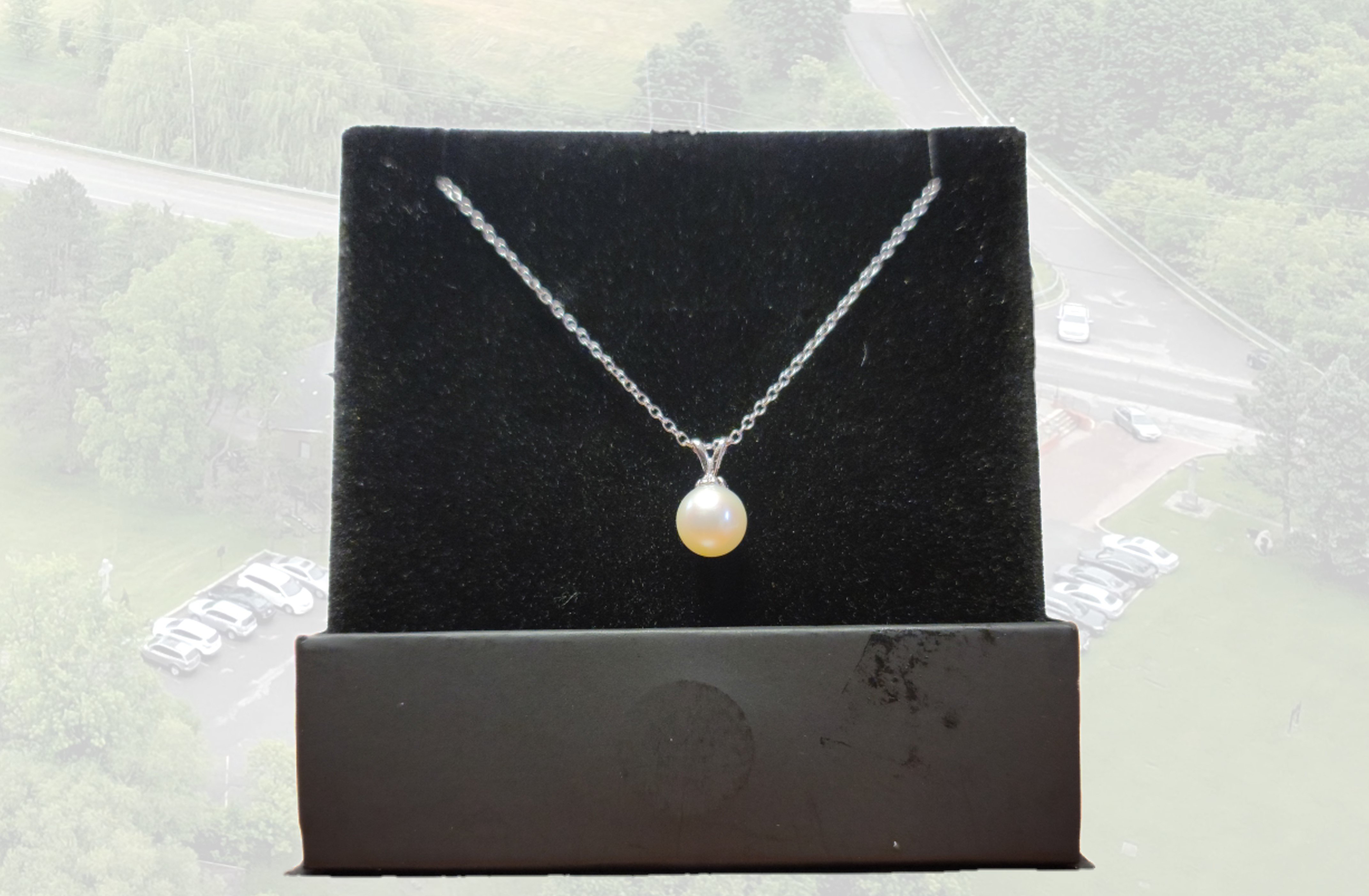 Raffle Prize: Freshwater Pearl with 925 Sterling Silver Chain