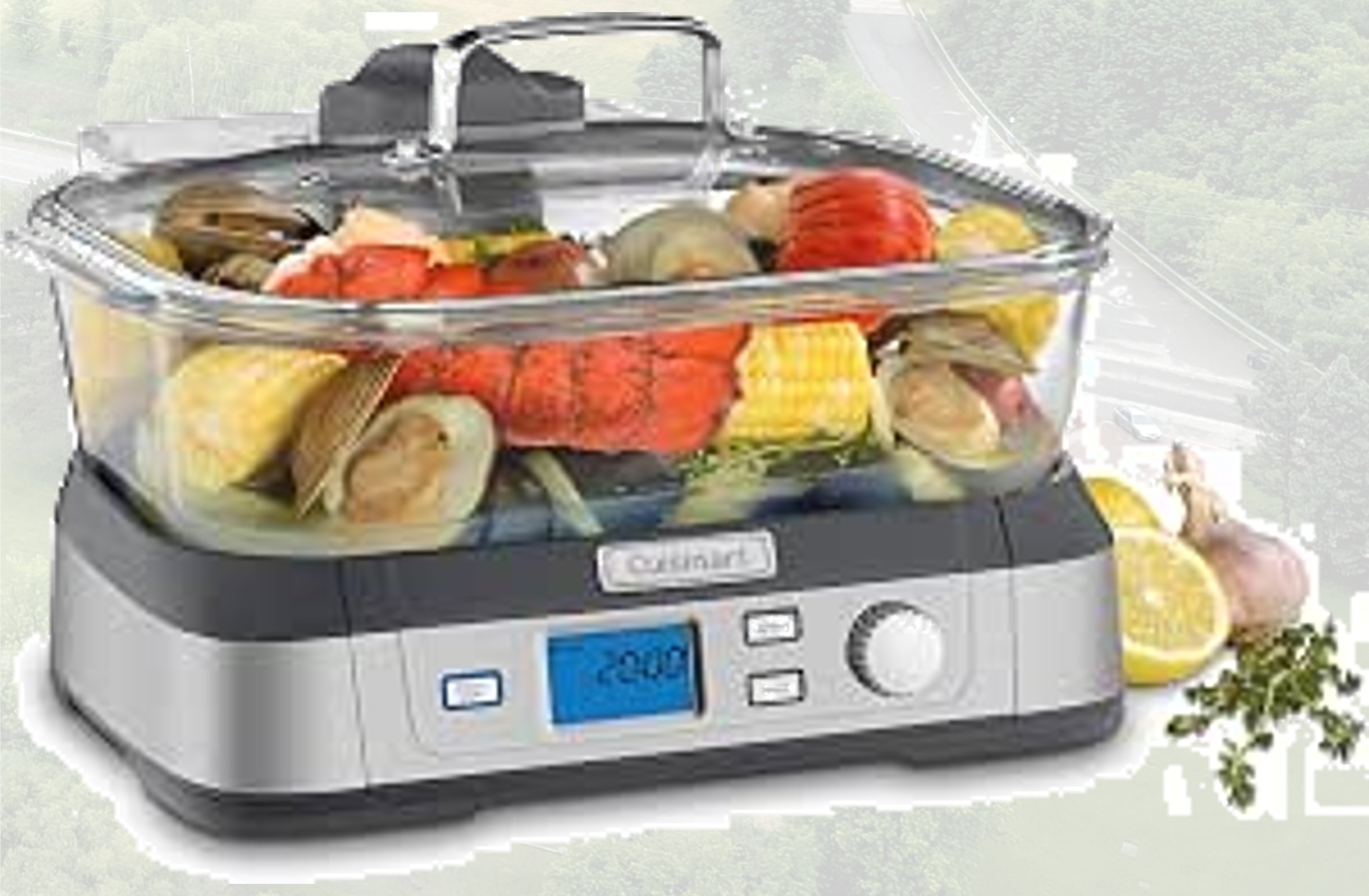 Raffle26 Prize - Cuisinart Steamer